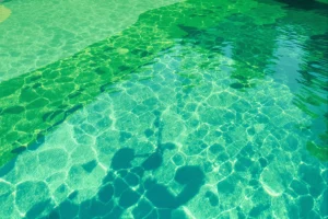Piscine trouble et verte : comment retrouver une eau claire ?